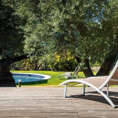 Rinoterra Minho Каминья