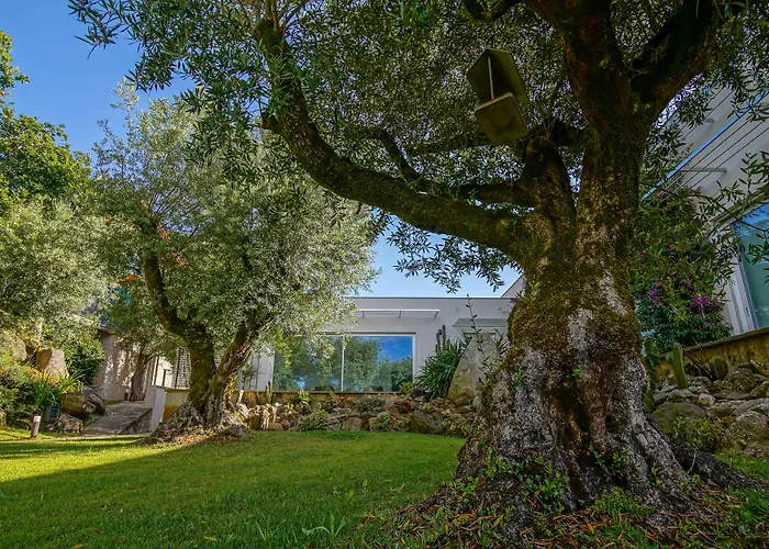 Hotel Rinoterra Minho Caminha