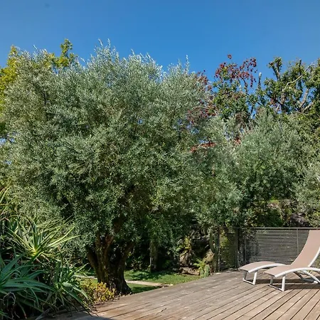 Hotel Rinoterra Minho 4*