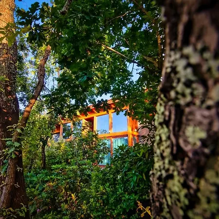 Hotel Rinoterra Minho