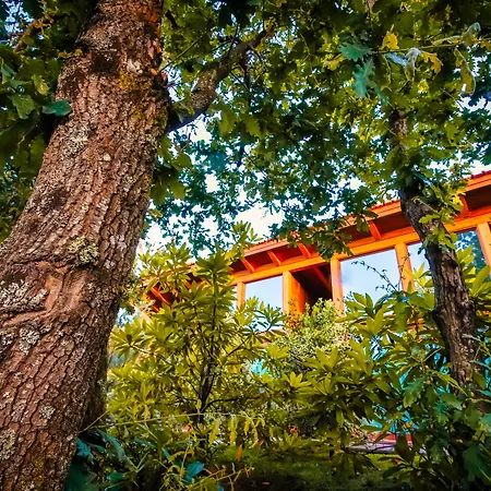 Hotel Rinoterra Minho 4*