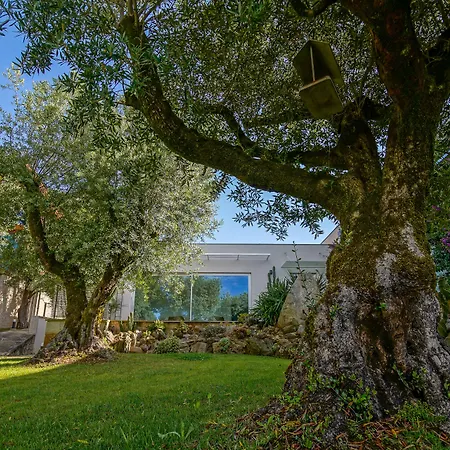 Hotell Rinoterra Minho Caminha