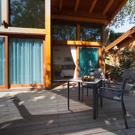 Rinoterra Minho קמיניה