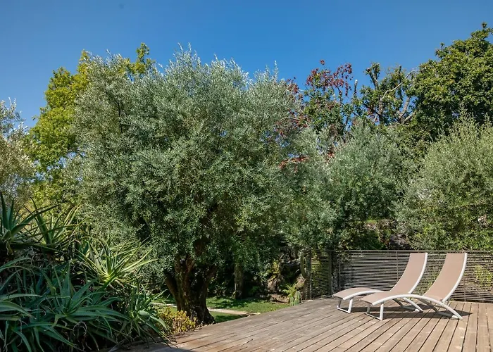 מלון Rinoterra Minho 4*