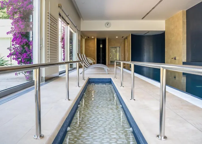 Rinoterra Minho Caminha