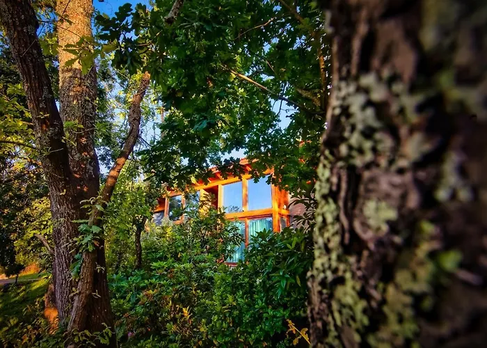 Hotel Rinoterra Minho