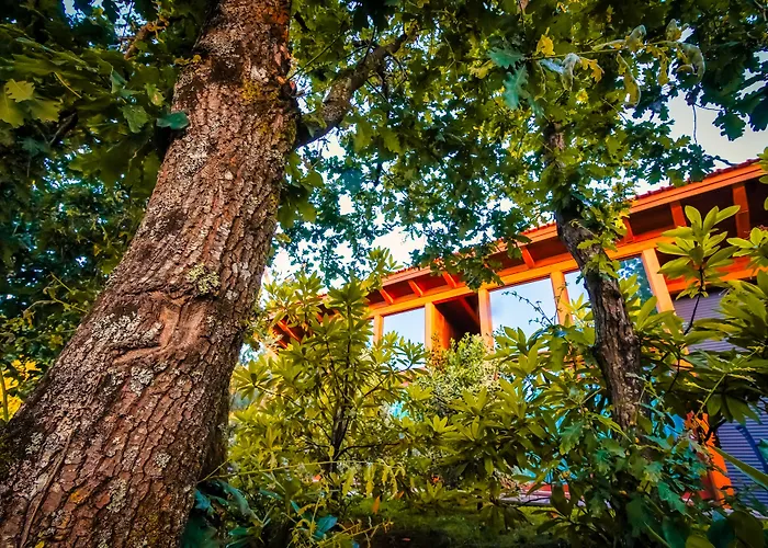 Hotel Rinoterra Minho 4*